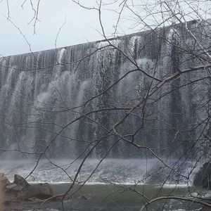 Meet your Posher, Maddox